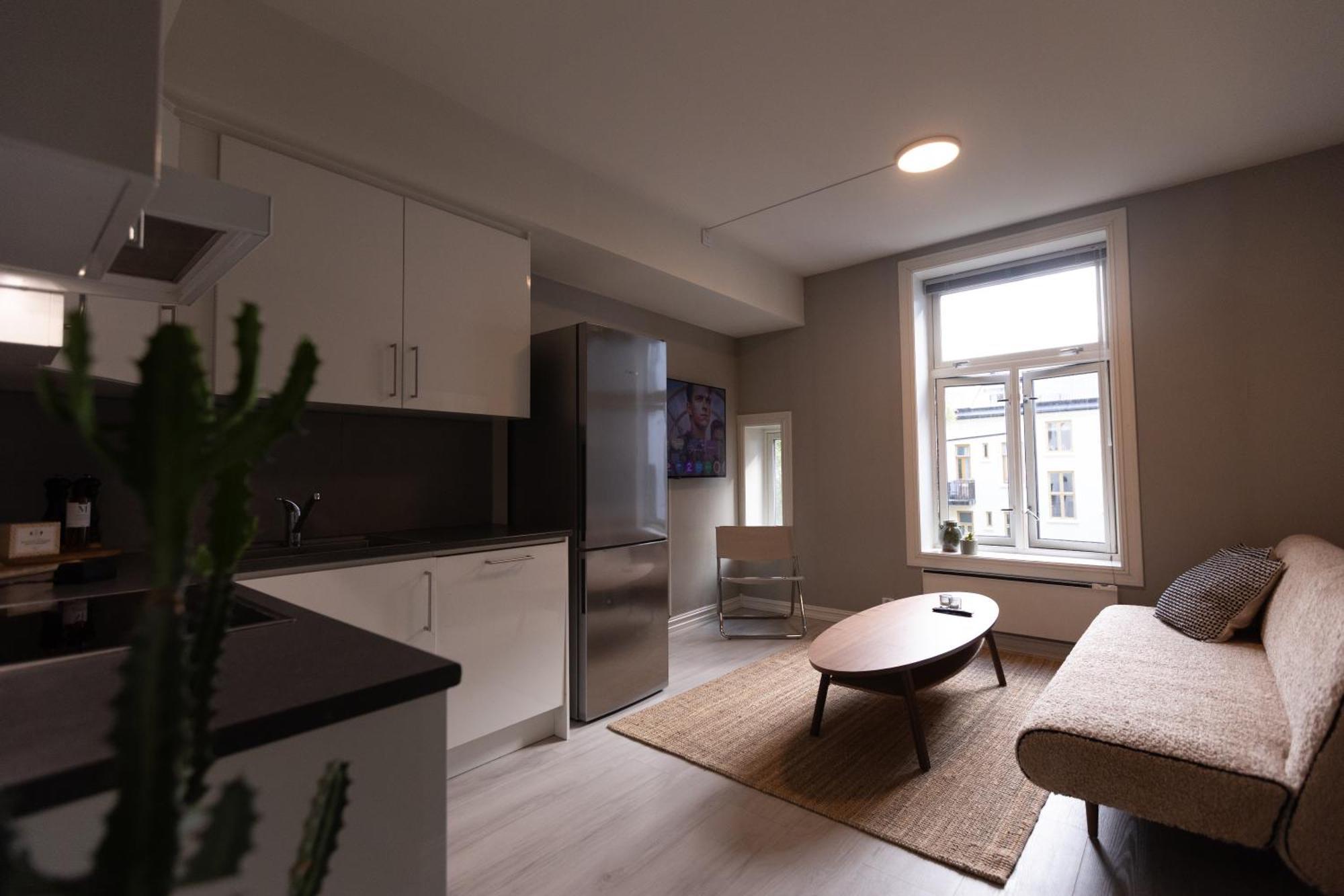 Nordic Style - Modern Downtown *